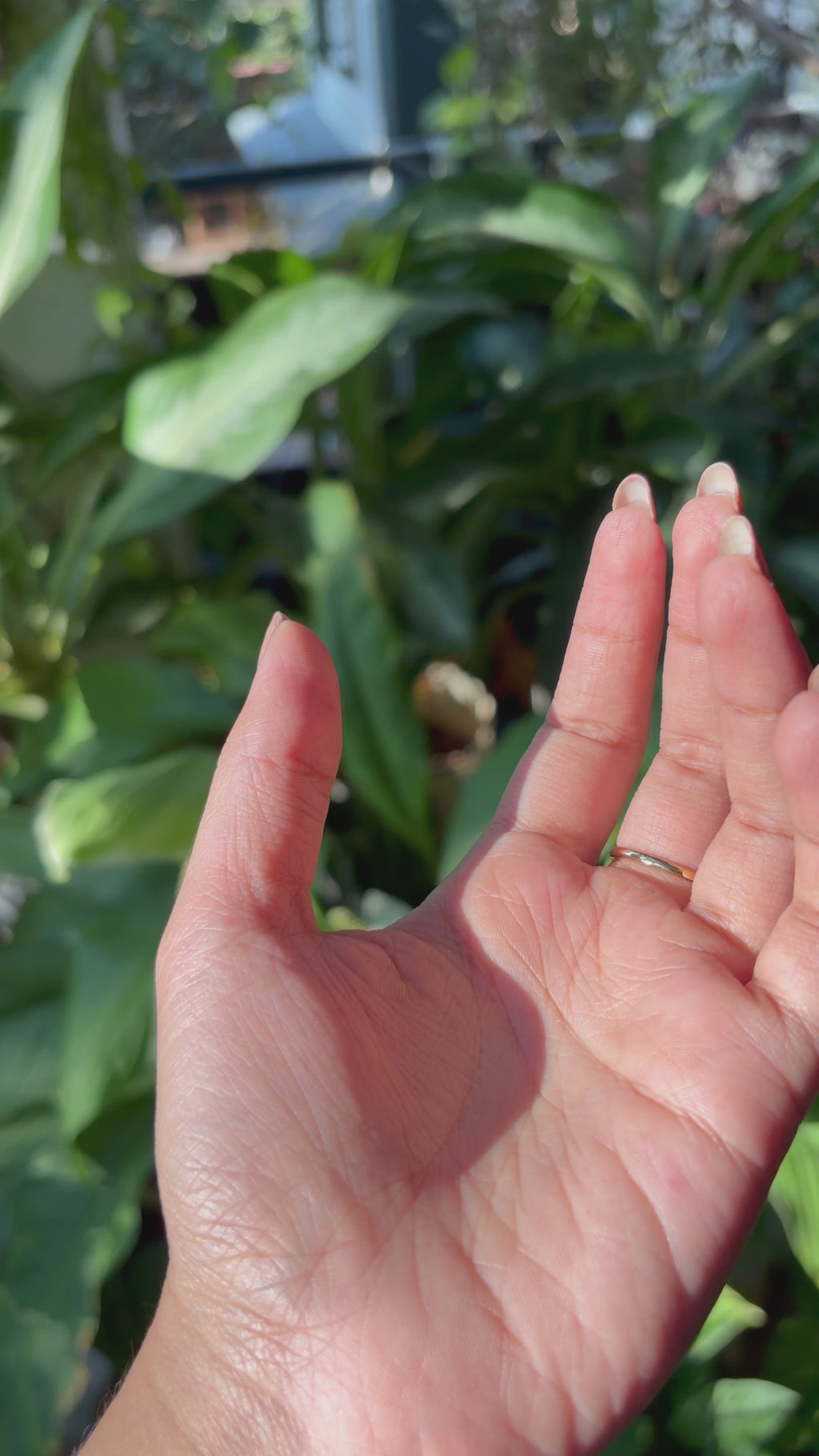 Pink Rose Adjustable Ring