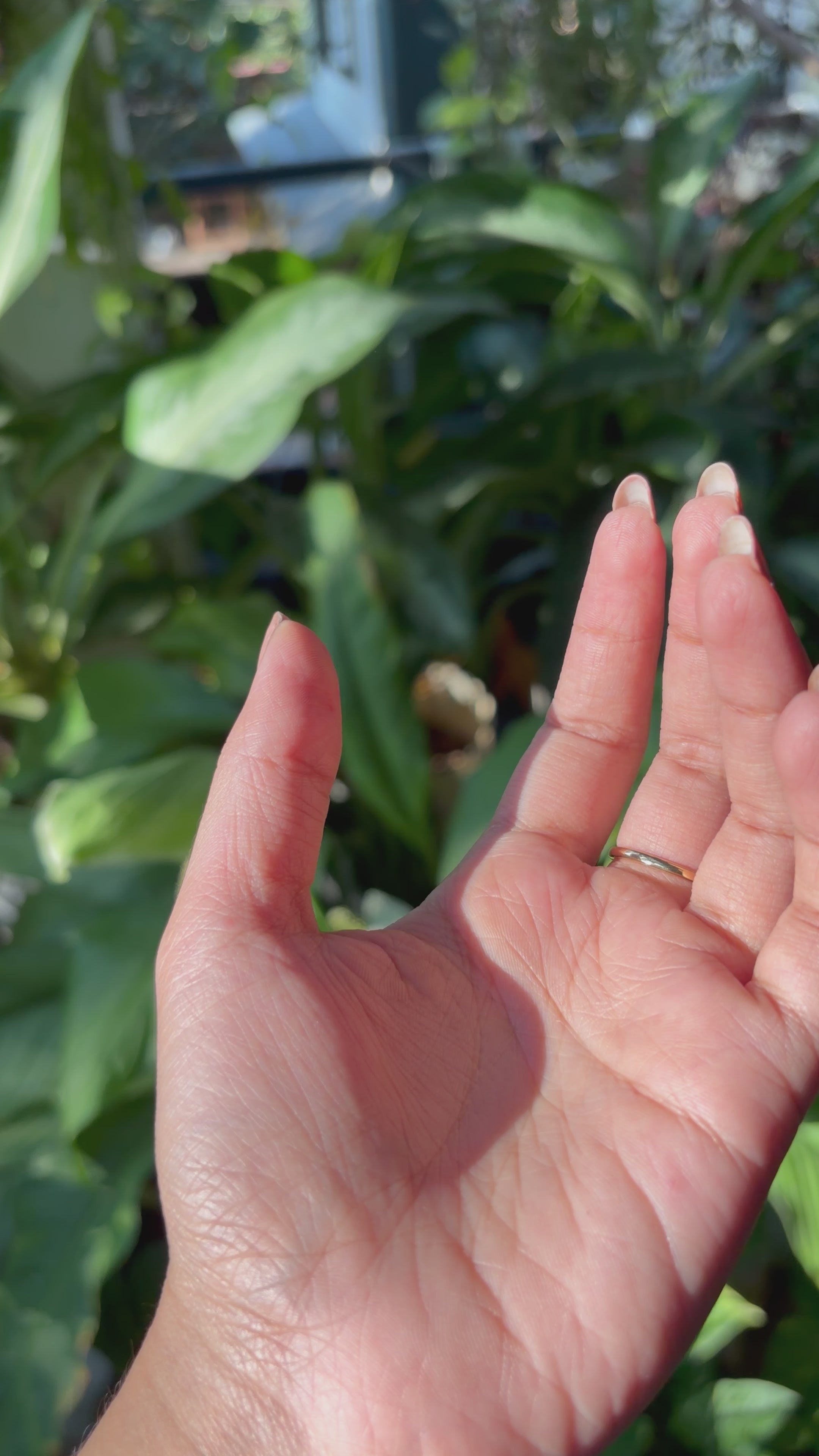 Pink Rose Adjustable Ring